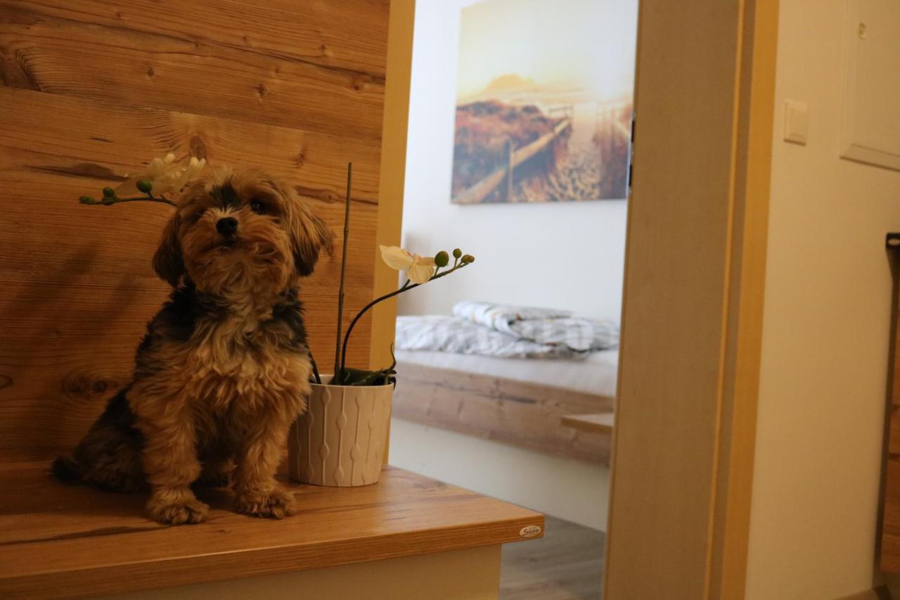 Zirben Diamant Rooms & Dogs Obdach Екстериор снимка